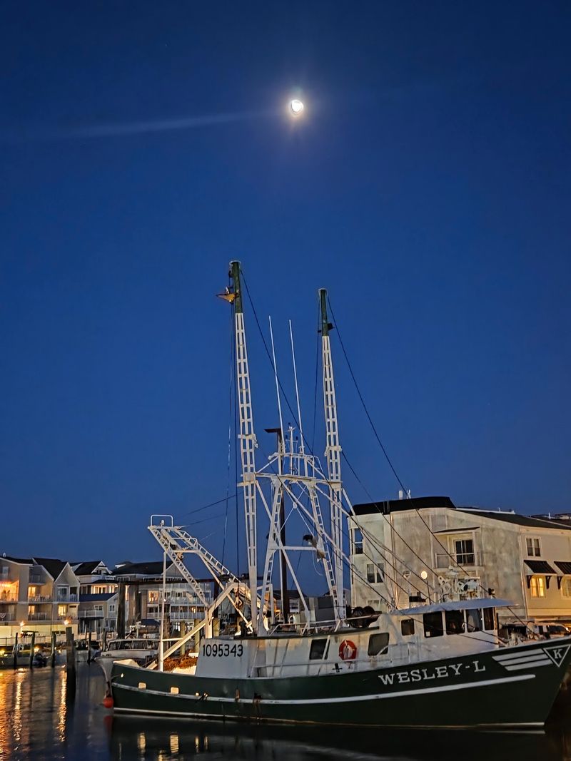 Mueller's Seafood, Cape May