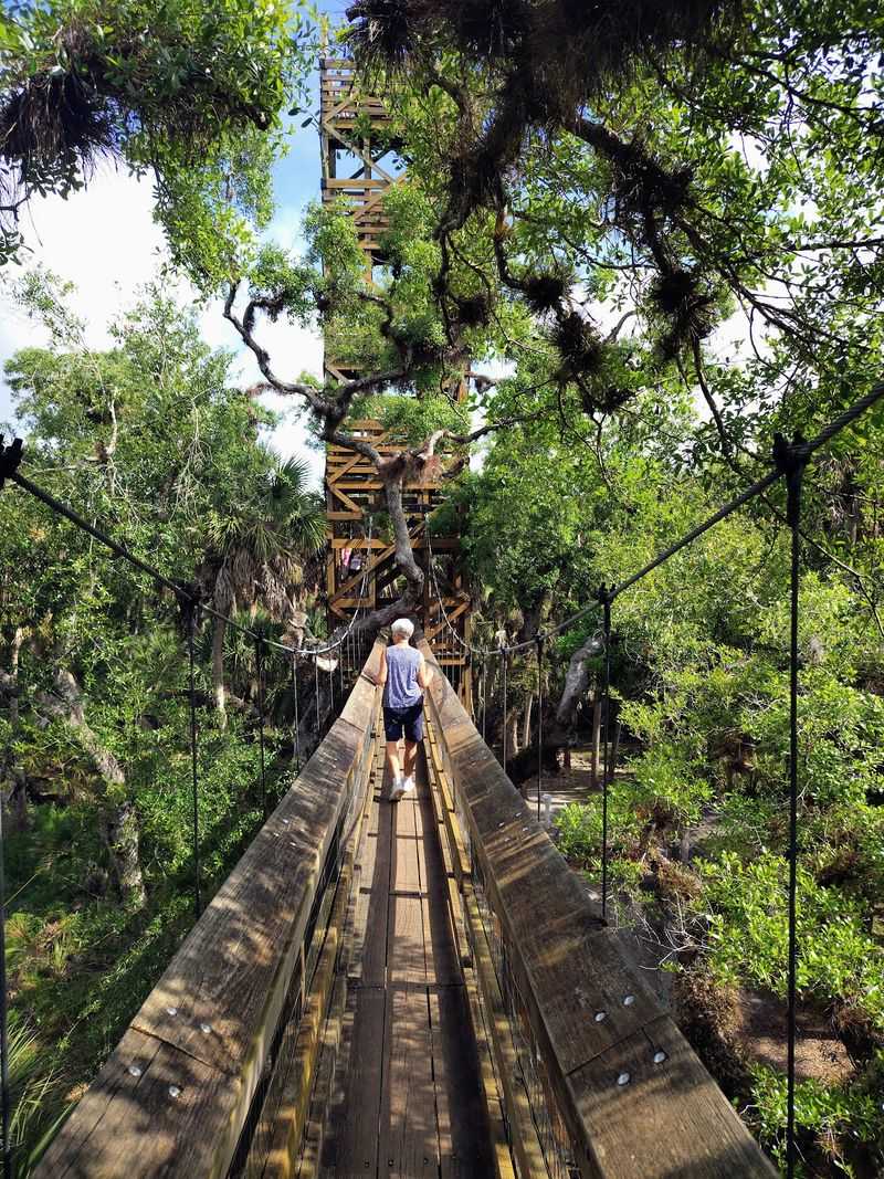 Myakka River State Park, Sarasota, Florida