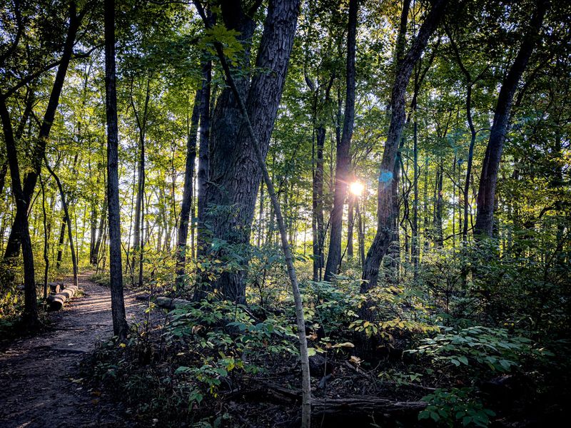 Naturalist-Led Programs for Curious Minds