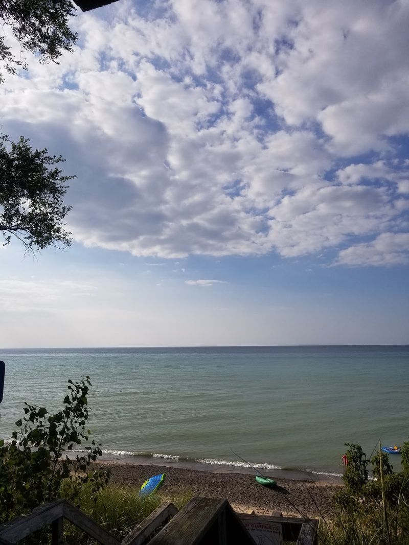 Nature As A Neighbor