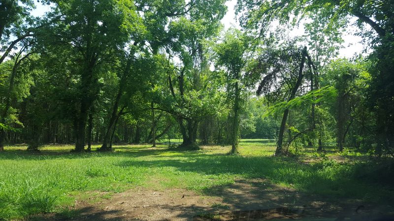 Nature Just Beyond the Fences