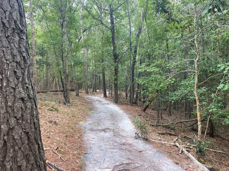 Nature Trails and Story Walks Nature Trails and Story Walks