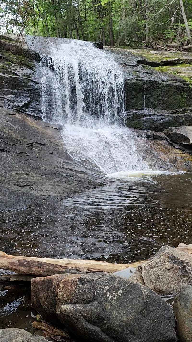 Nature's Own Water Slide