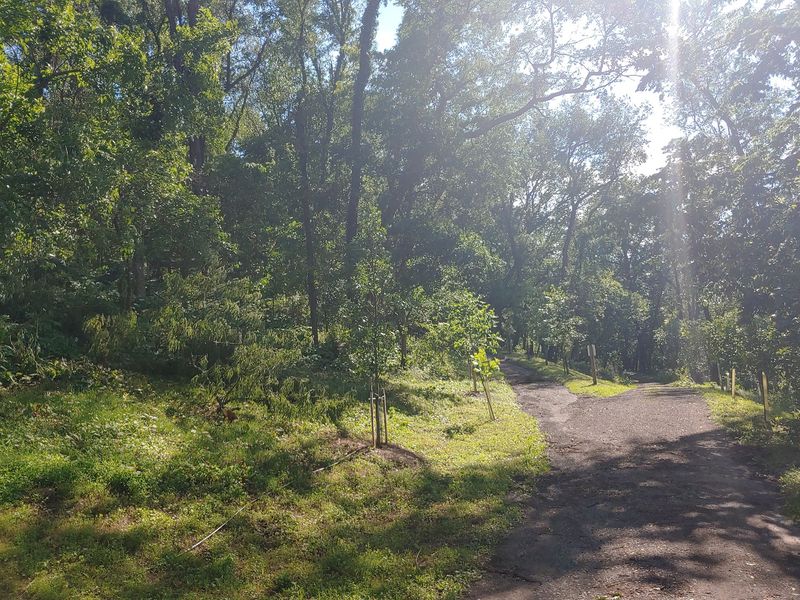 Nearby Trails and Green Space