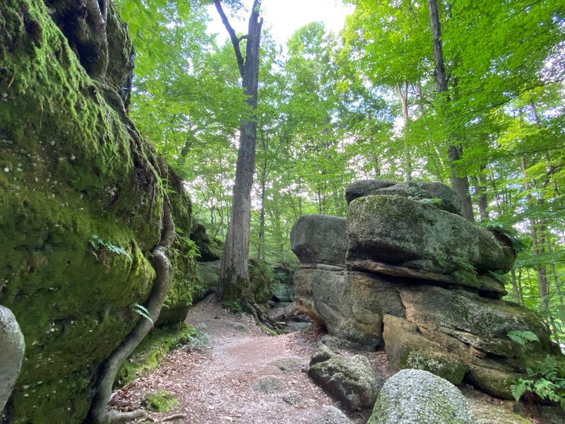 Nelson-Kennedy Ledges State Park - Garrettsville, Ohio
