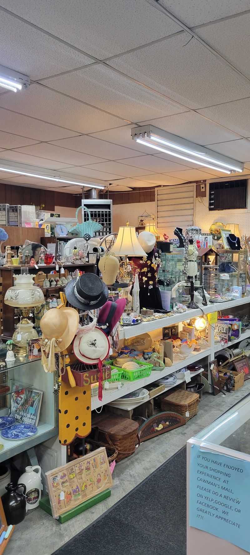 New Finds Every Time You Visit New Finds Every Time You Visit
