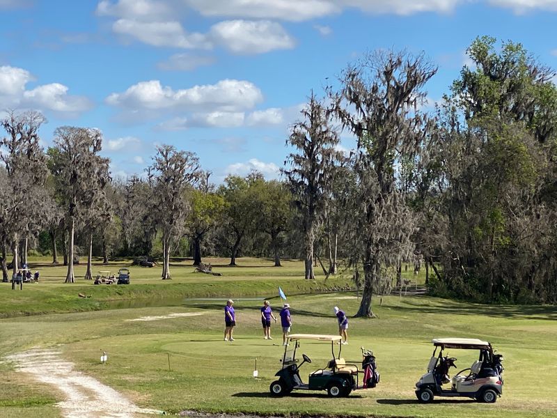 Nine Holes Made for Learning the Game Nine Holes Made for Learning the Game