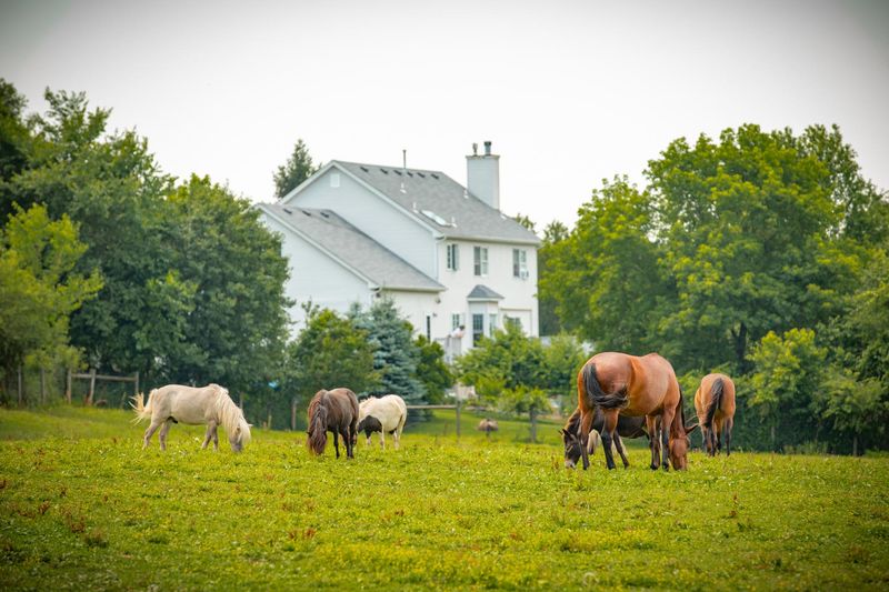 Norz Hill Farm, Hillsborough