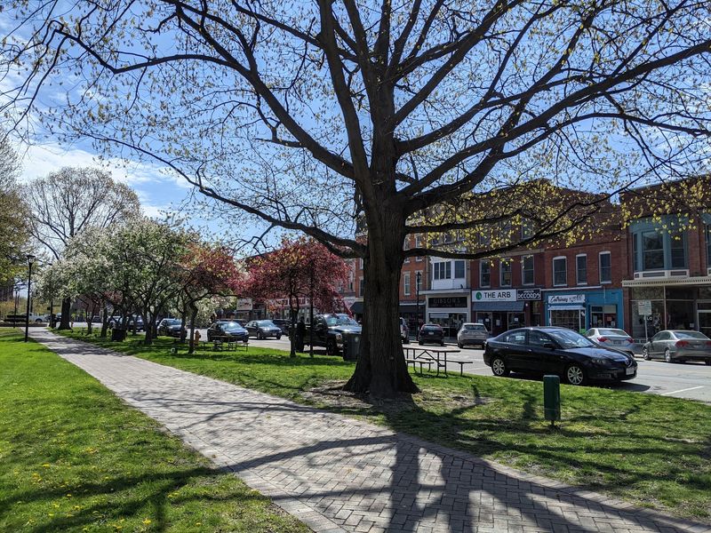Oberlin - Ohio
