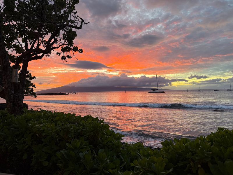 Ocean Views and the Sunset Booking Game