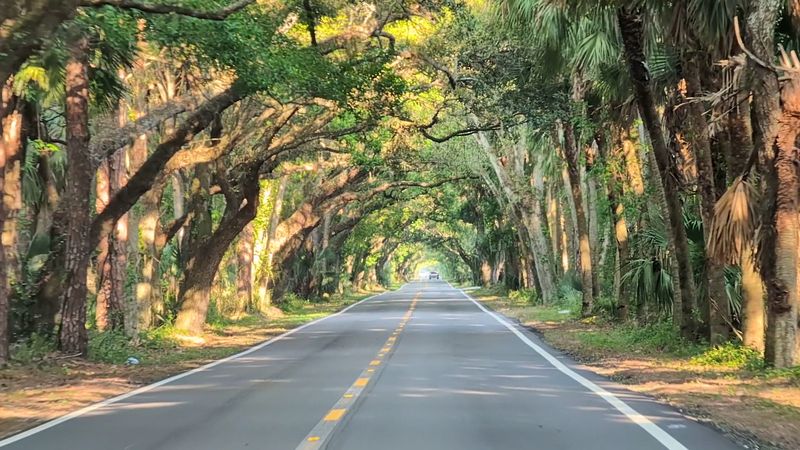 Old Florida Vibes You Cannot Find Anywhere Else Old Florida Vibes You Cannot Find Anywhere Else