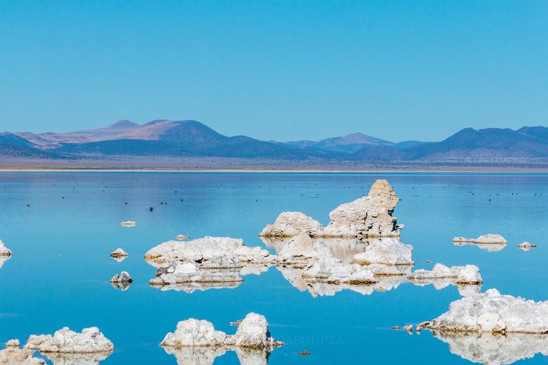 Old Marina, Mono Lake, California Old Marina, Mono Lake, California