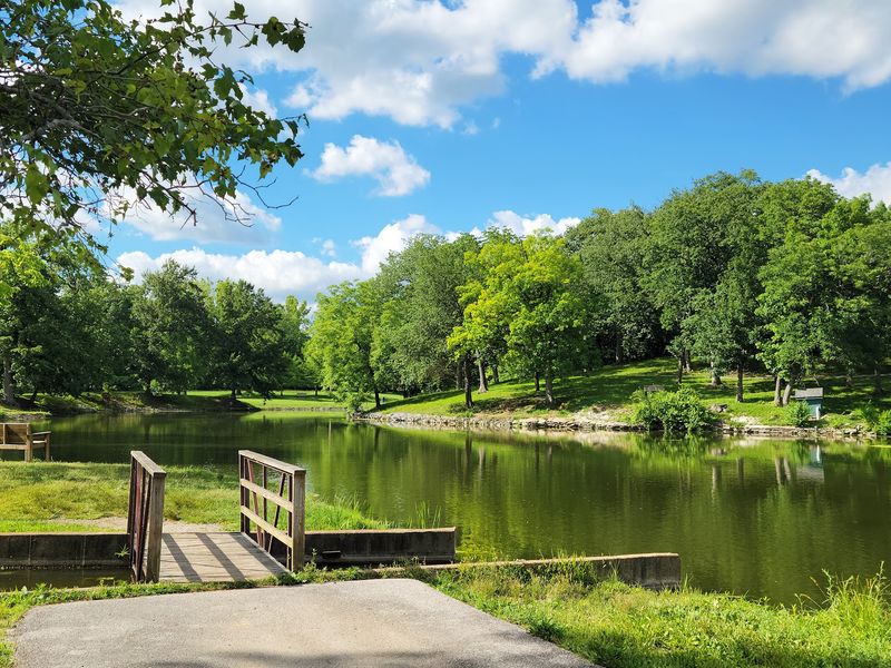 Open Picnic Areas Surrounded by Trees and Nature Open Picnic Areas Surrounded by Trees and Nature