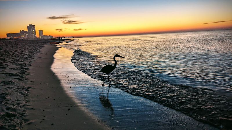 Orange Beach