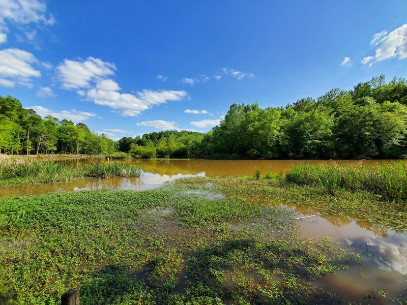Outdoor Days That Cost Almost Nothing