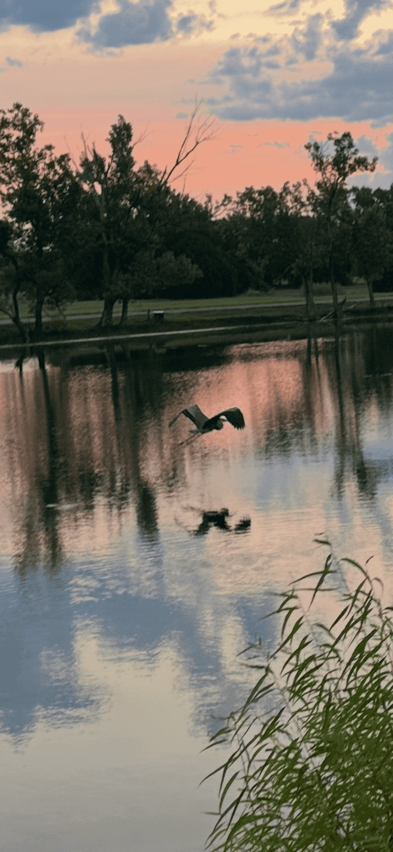 Outdoor Recreation Beyond the River Outdoor Recreation Beyond the River