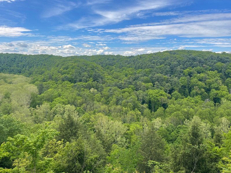 Overlook Trail, Mohican State Park, Loudonville Overlook Trail, Mohican State Park, Loudonville