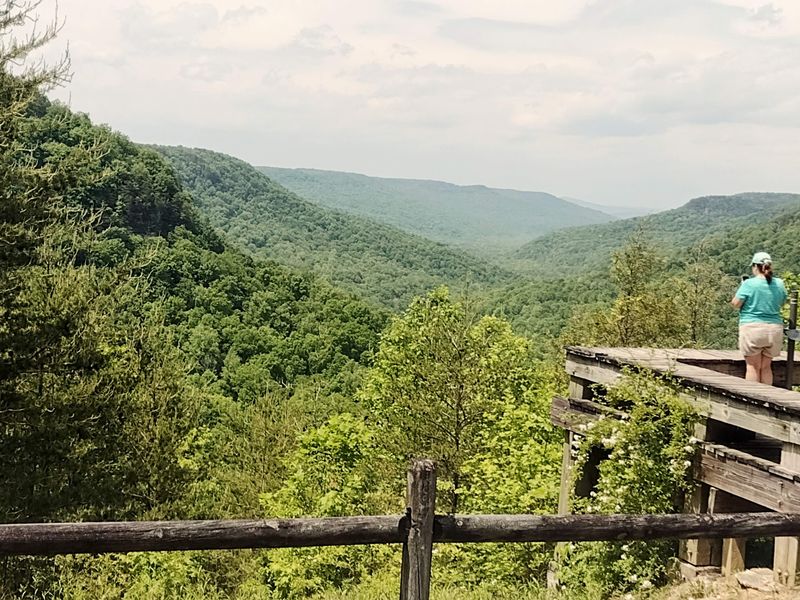 Overlooks Made For Easy Wandering