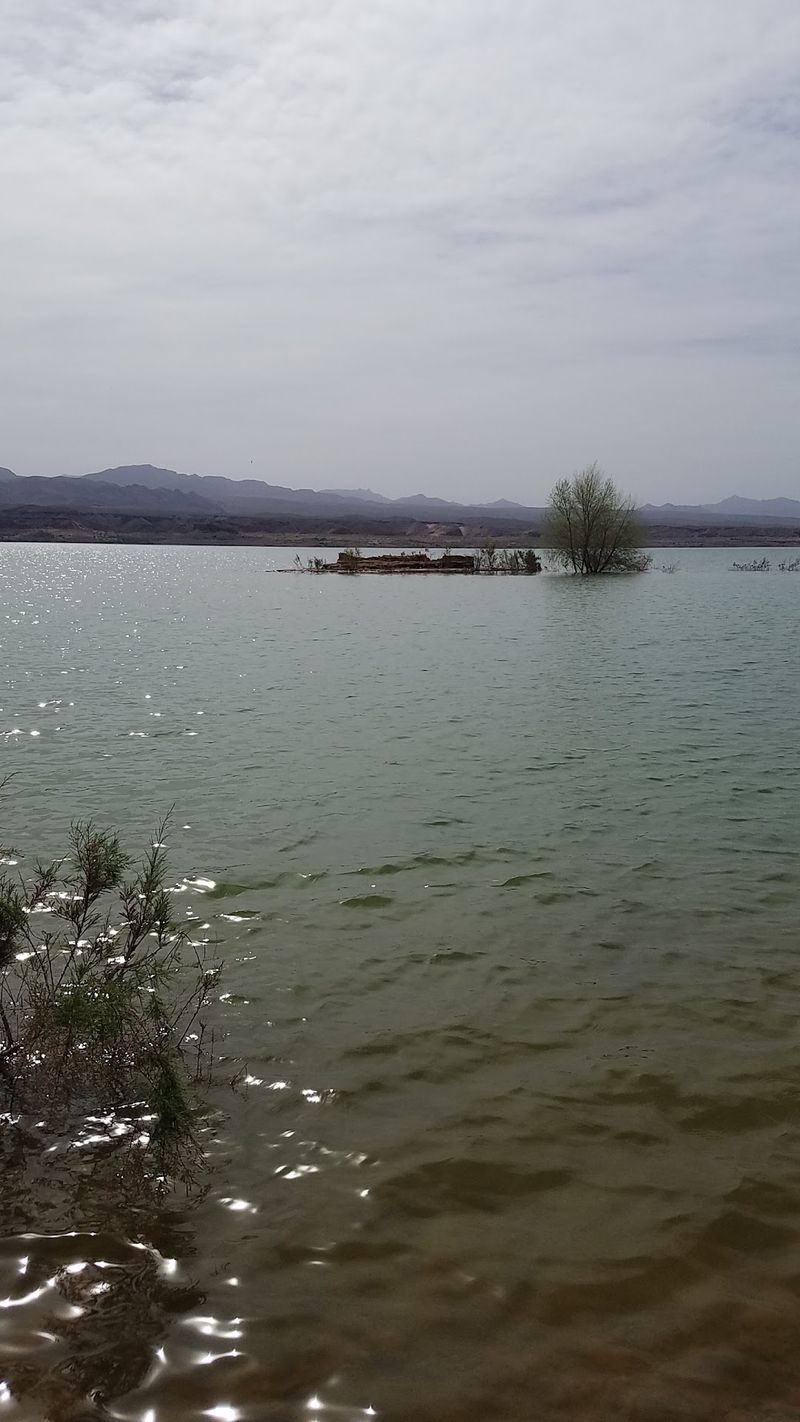 Overton, Lake Mead and the Overton Arm