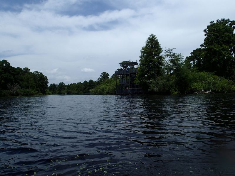 Packing Smart for a Full Day on the Hillsborough River Packing Smart for a Full Day on the Hillsborough River