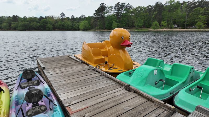 Paddle Boats, Kayaks, And Easy Rentals