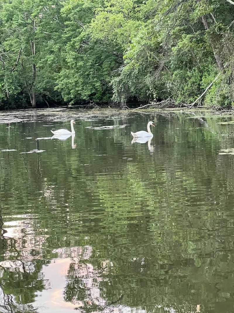 Paddling Into Peace And Quiet