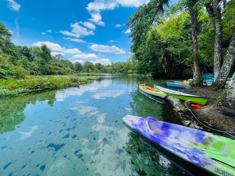 Paddling The Wekiwa River By Canoe Or Kayak