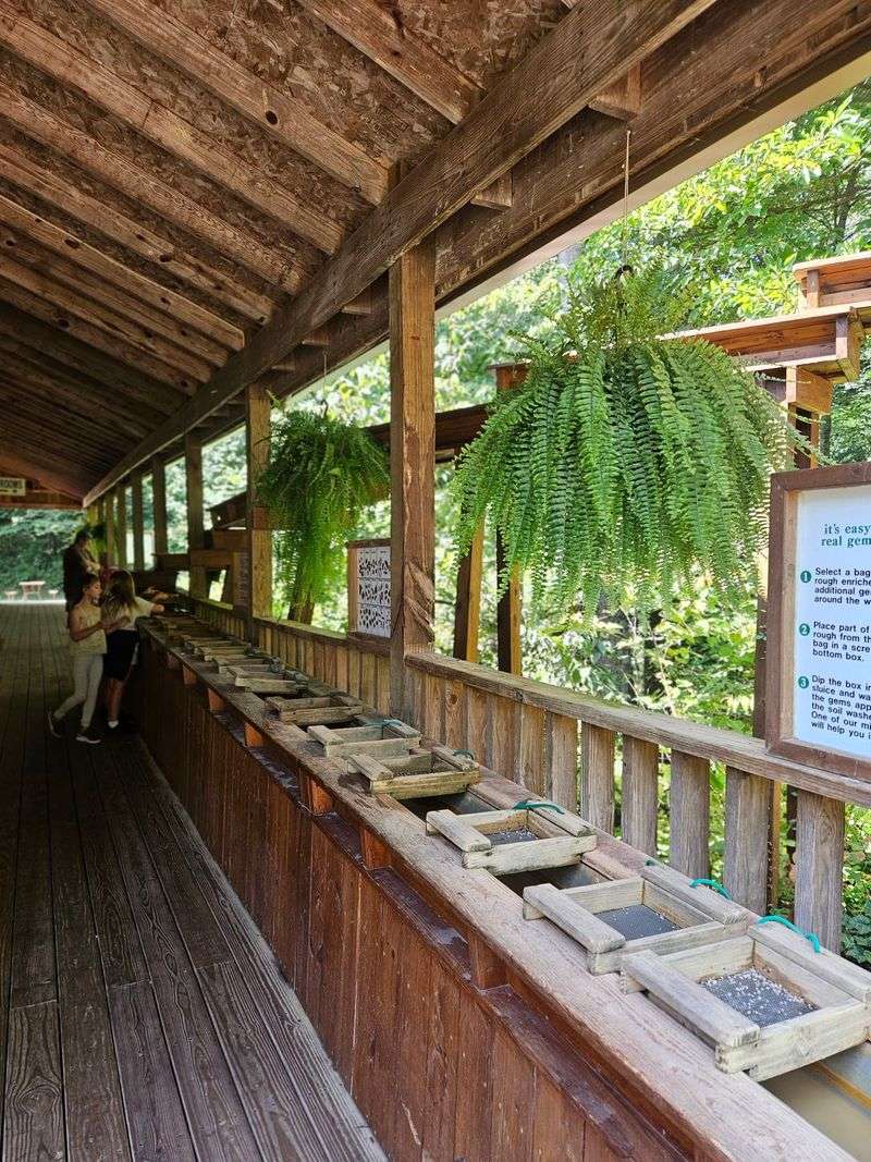 Panning for Gems and Fossils