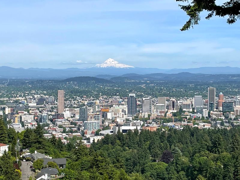 Panoramic Views That Visitors Literally Cannot Stop Talking About
