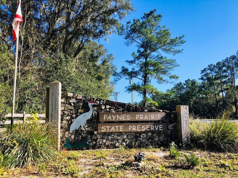 Park Entry, Hours, and Practical Tips