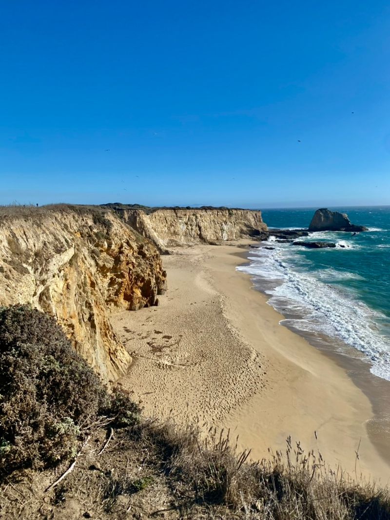 Parking Along Highway 1
