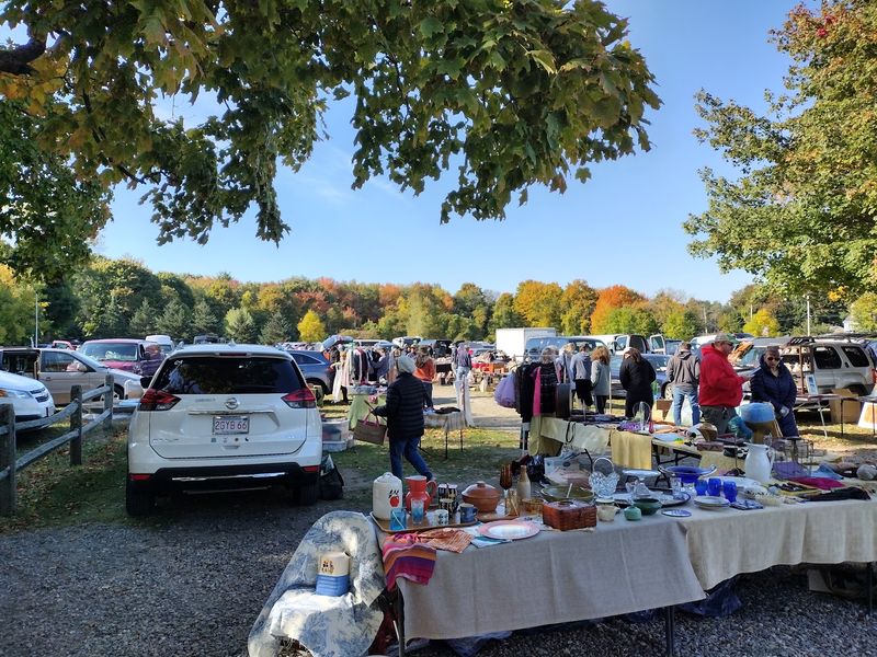 Parking, Fees, and Getting In