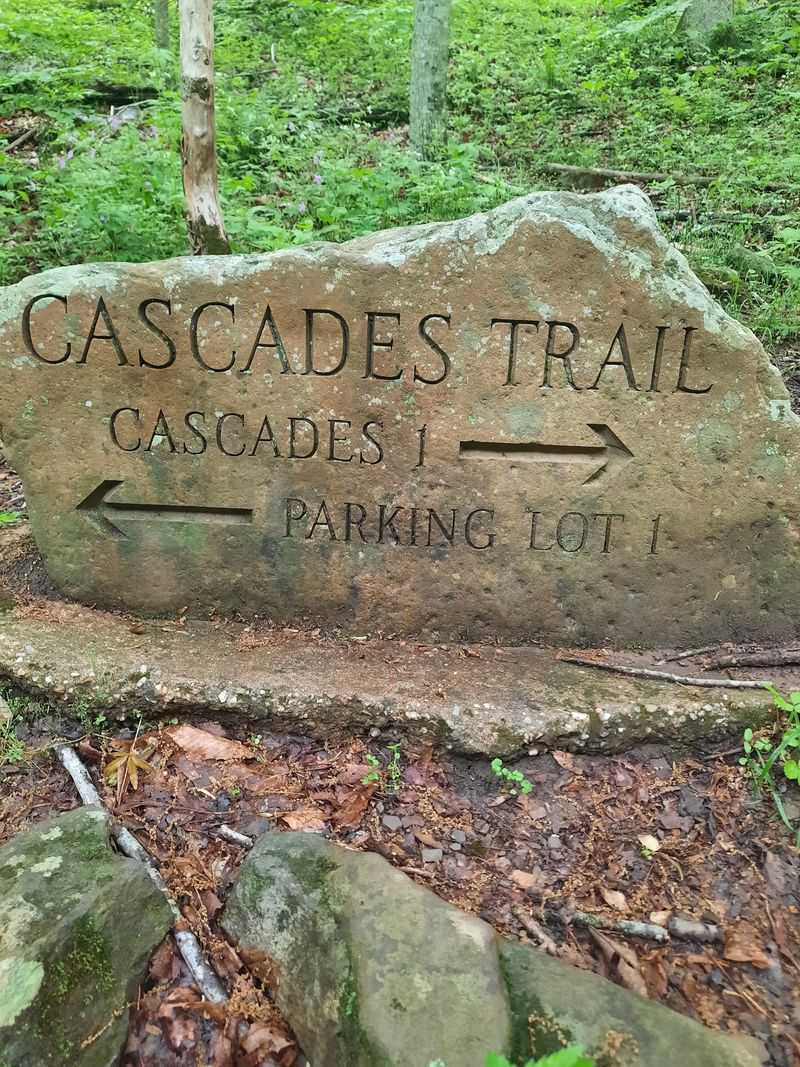 Parking, Fees, and Smart Packing