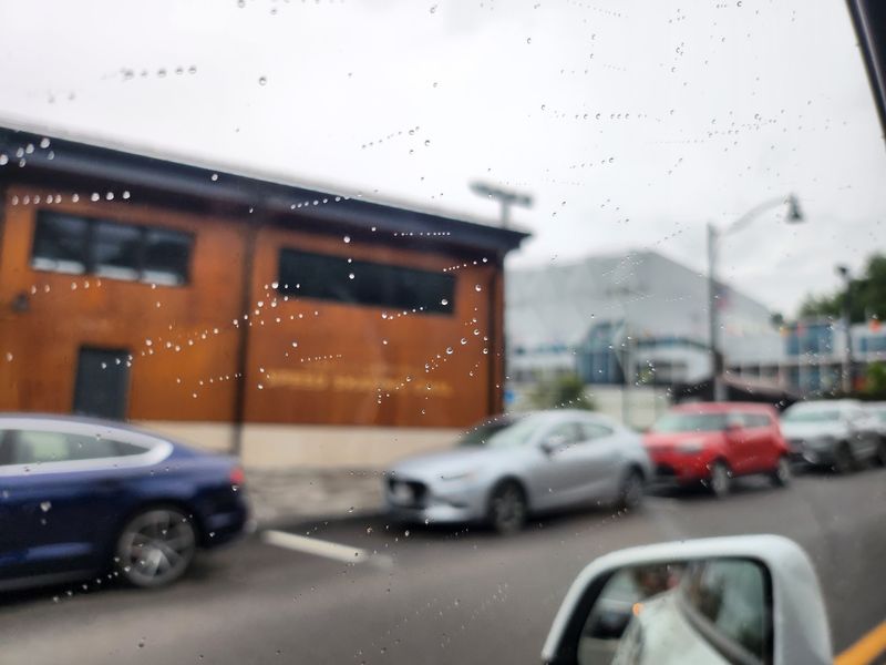 Parking, Traffic, and Getting Around