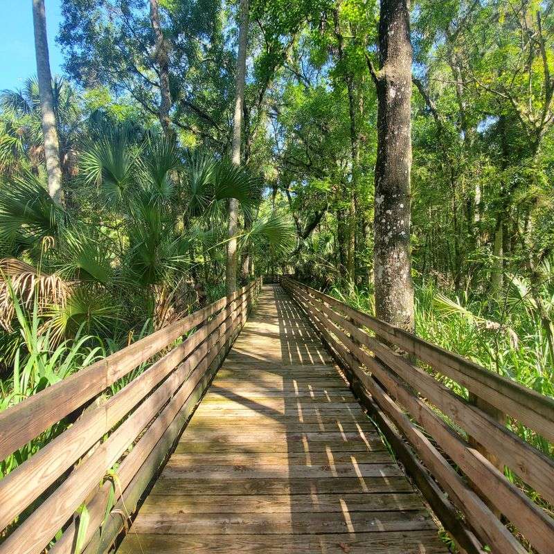 Parks, Trails, and Outdoor Time