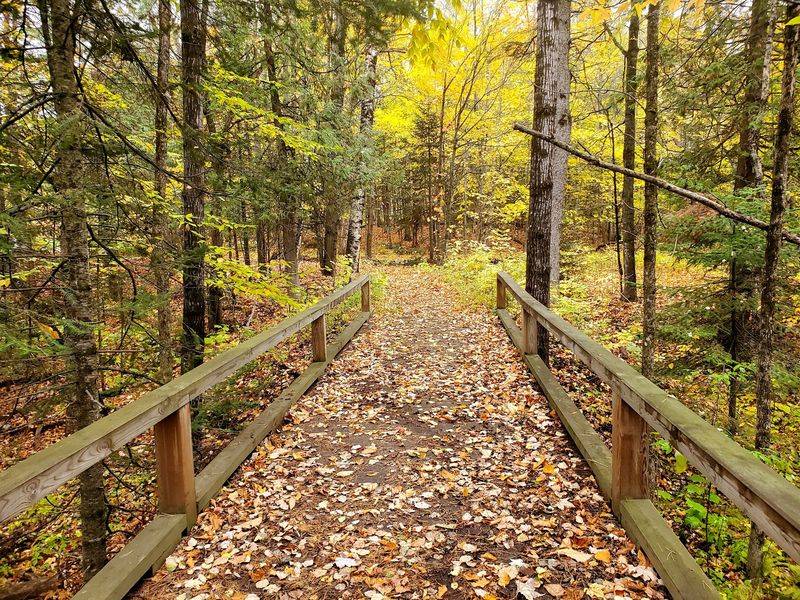 Paved Paths That Welcome Everyone