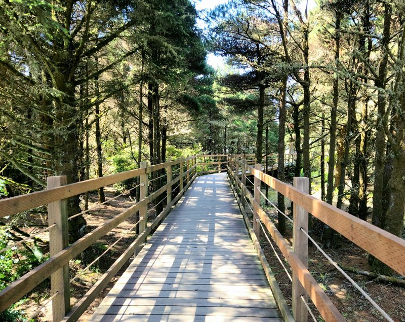 Paved Trails Built For Easy Walking