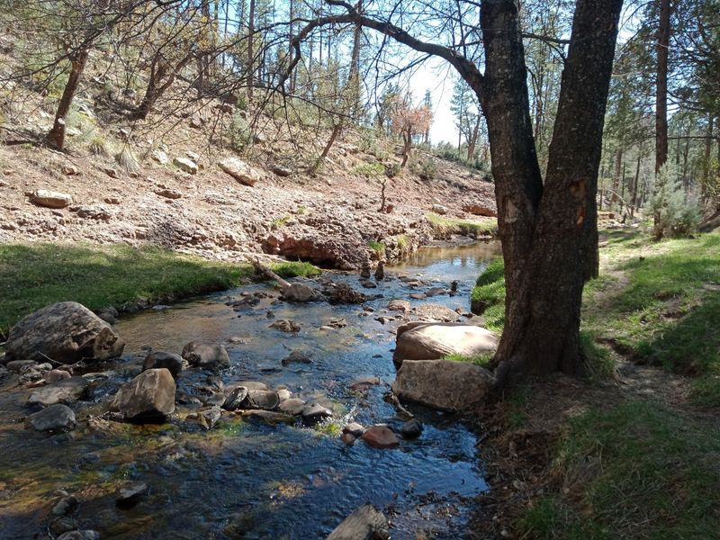 Payson Payson