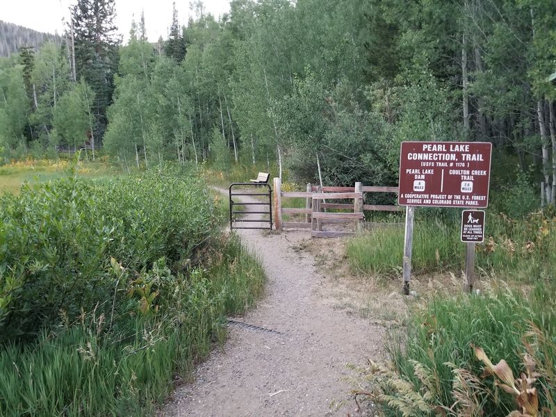 Pearl Lake and North Park area Grills, Walden, Colorado