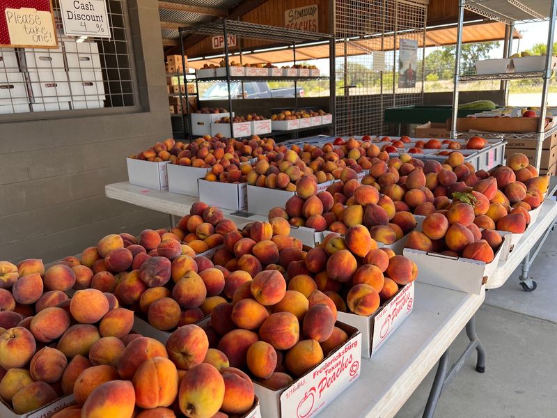 Pecan Valley Orchard, Fredericksburg