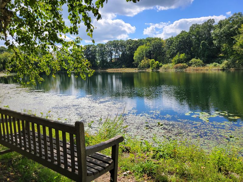 Perfect For Families, Photographers, And Quiet Escapes