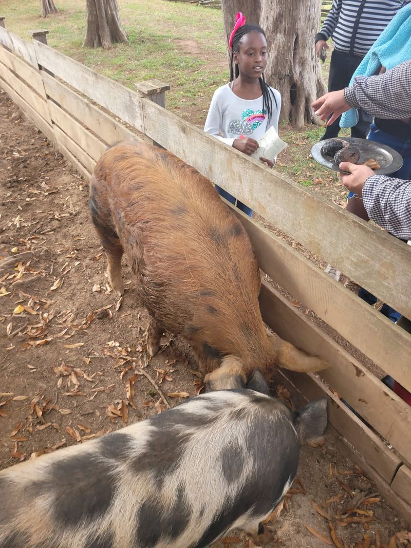 Perfect for Families and Curious Kids Perfect for Families and Curious Kids