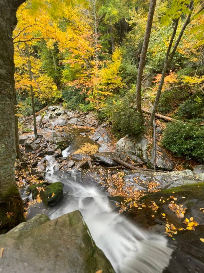Perfect for Families and First-Timers