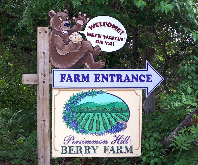 Persimmon Hill Farm, Lampe, MO