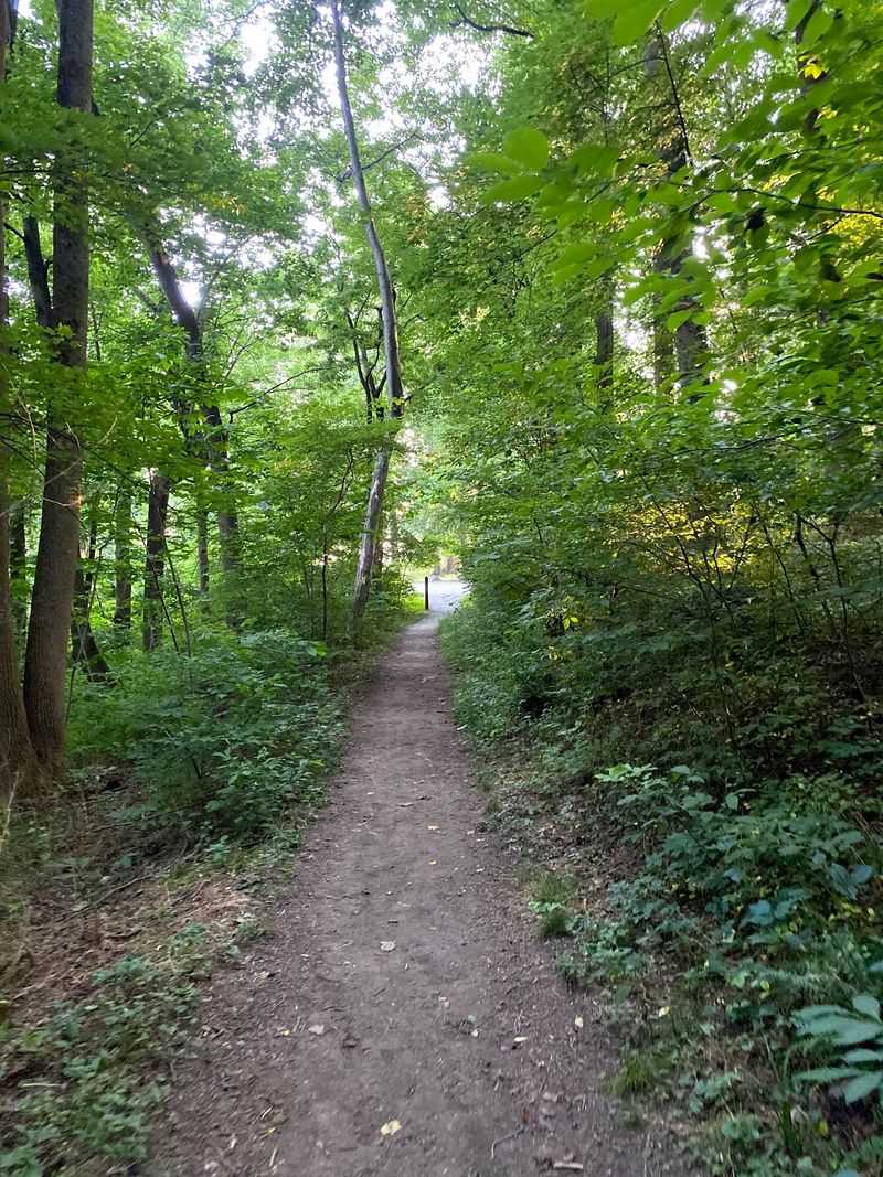 Pet-Friendly Trails for Your Four-Legged Adventure Buddy Pet-Friendly Trails for Your Four-Legged Adventure Buddy