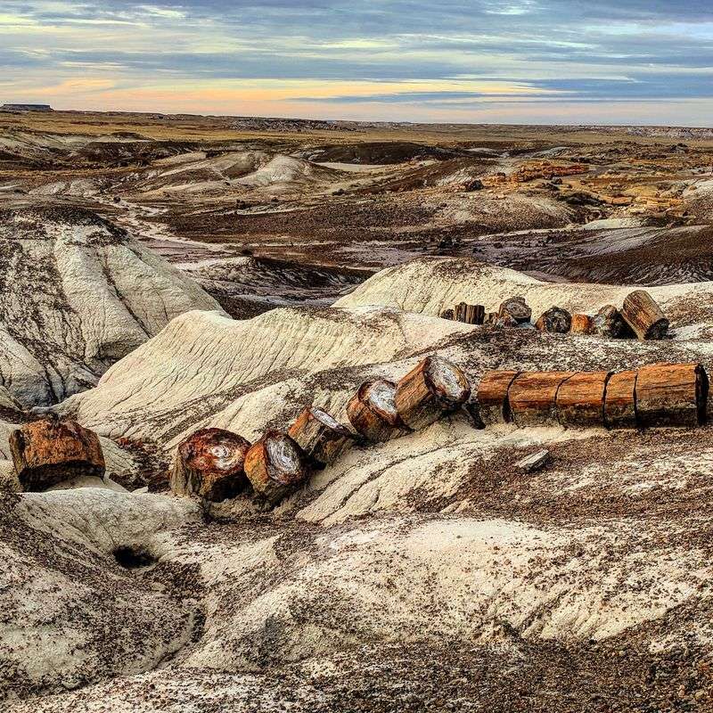 Petrified Forest National Park – Arizona