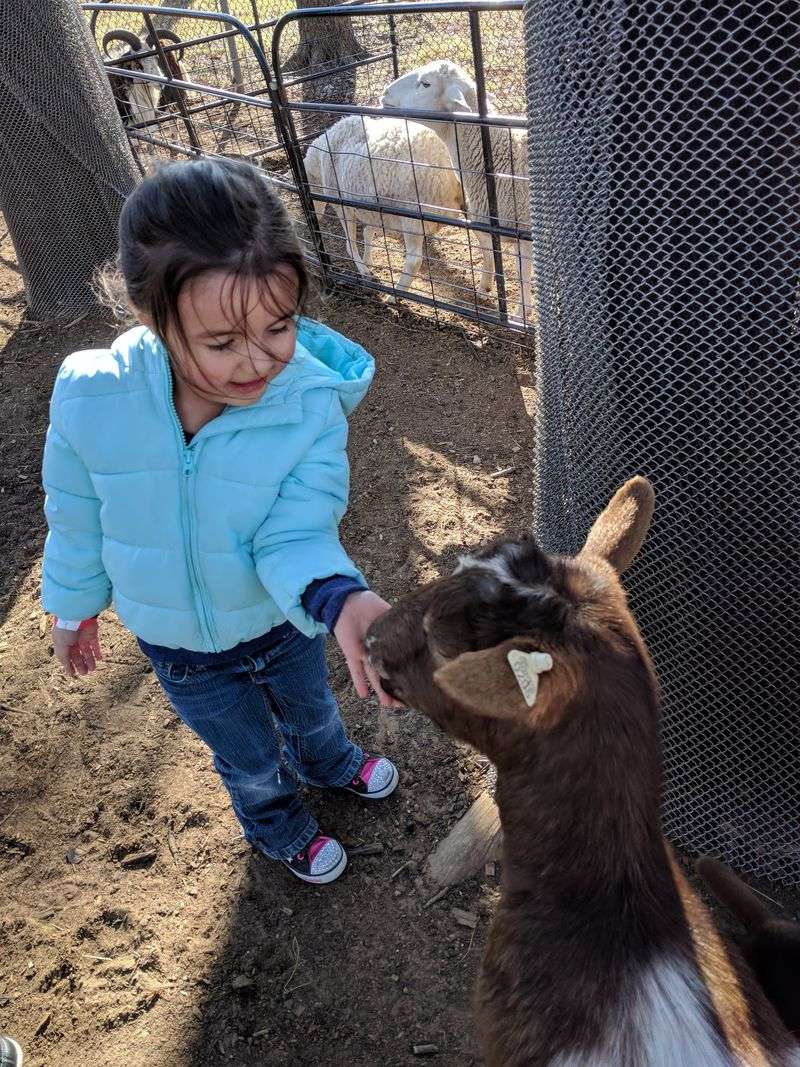 Petting Zoo and Animal Feed Bags Petting Zoo and Animal Feed Bags