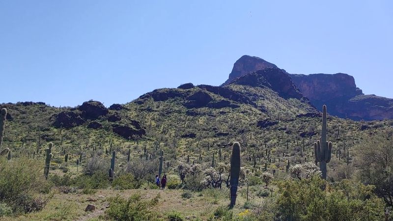 Picacho Peak State Park, Picacho, Arizona Picacho Peak State Park, Picacho, Arizona
