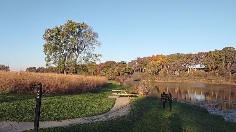 Picnic Areas Perfect for a Relaxed Family Lunch