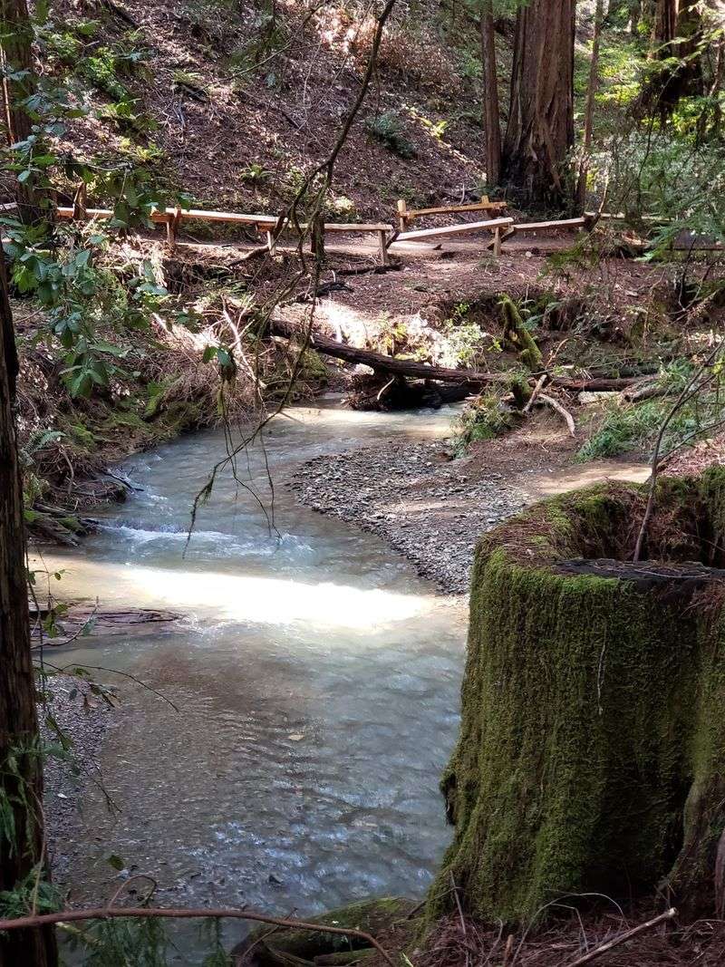 Picnic Areas That Make a Full Day Trip Totally Worth It